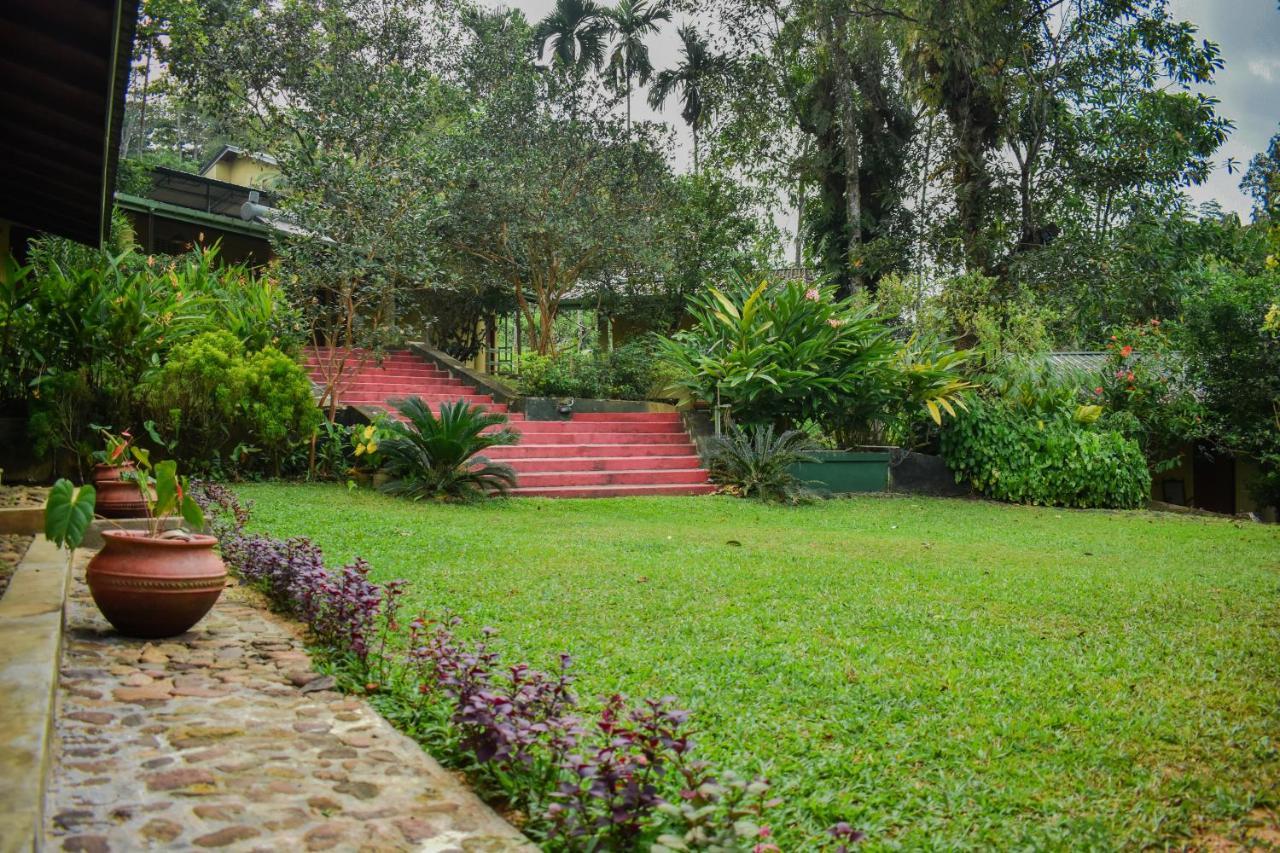 Blue Magpie Lodge Sinharaja Kudawe المظهر الخارجي الصورة