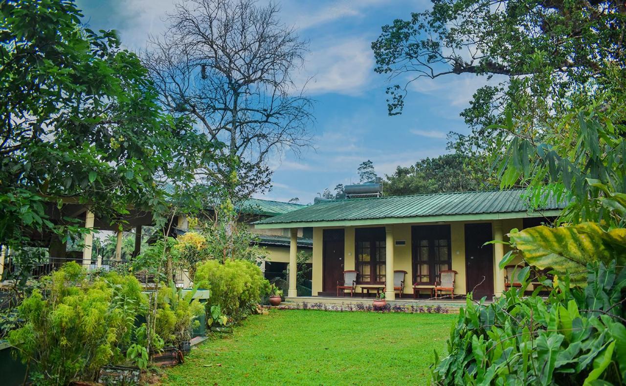 Blue Magpie Lodge Sinharaja Kudawe المظهر الخارجي الصورة