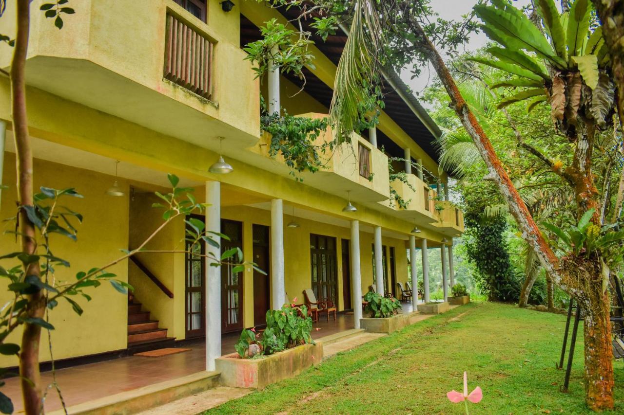 Blue Magpie Lodge Sinharaja Kudawe المظهر الخارجي الصورة